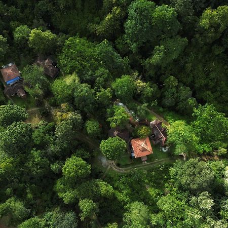 Mahout Resort Wayanad - An Experiential Jungle Stay With Waterfall Kalpatta Buitenkant foto