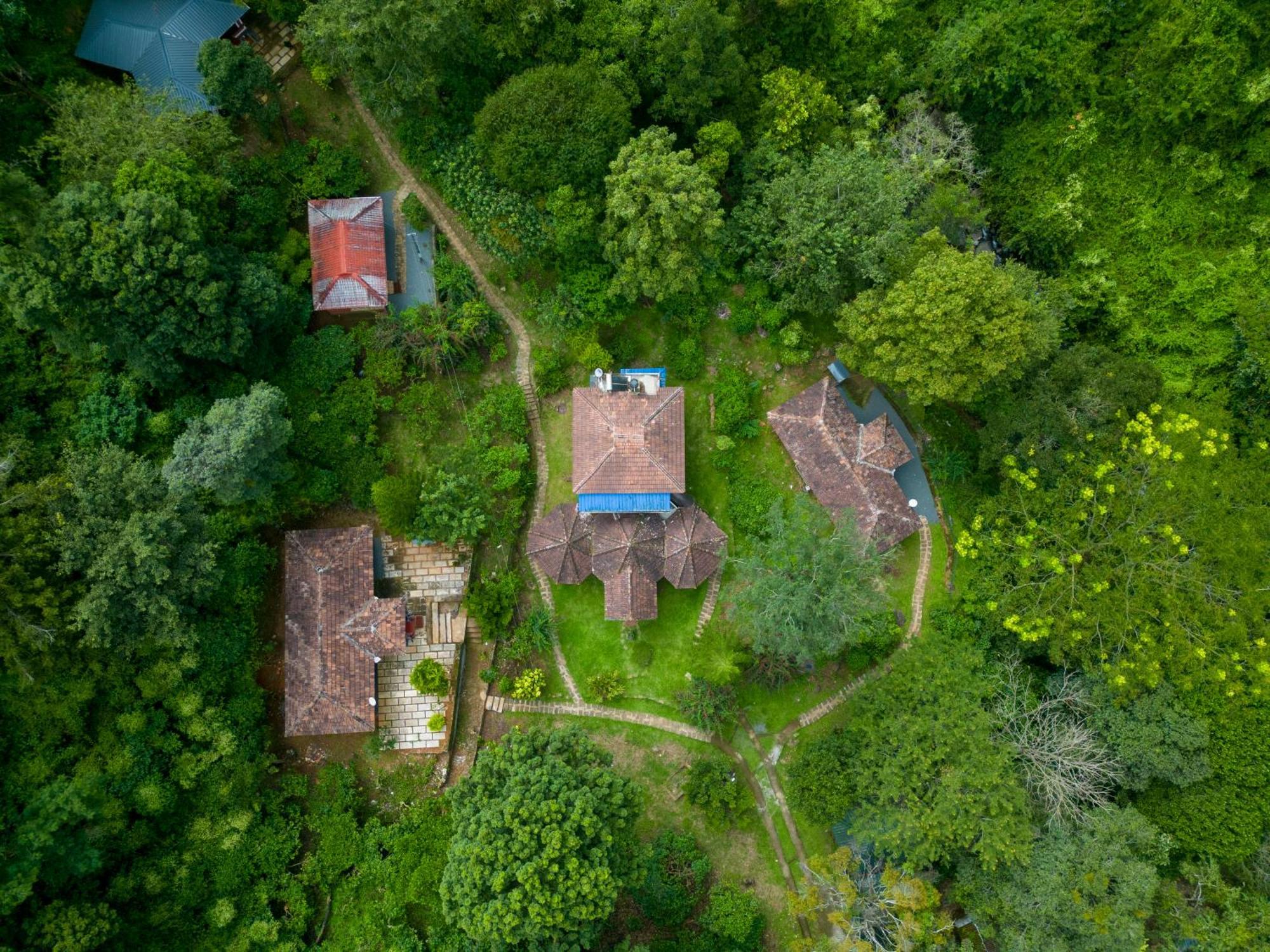 Mahout Resort Wayanad - An Experiential Jungle Stay With Waterfall Kalpatta Buitenkant foto