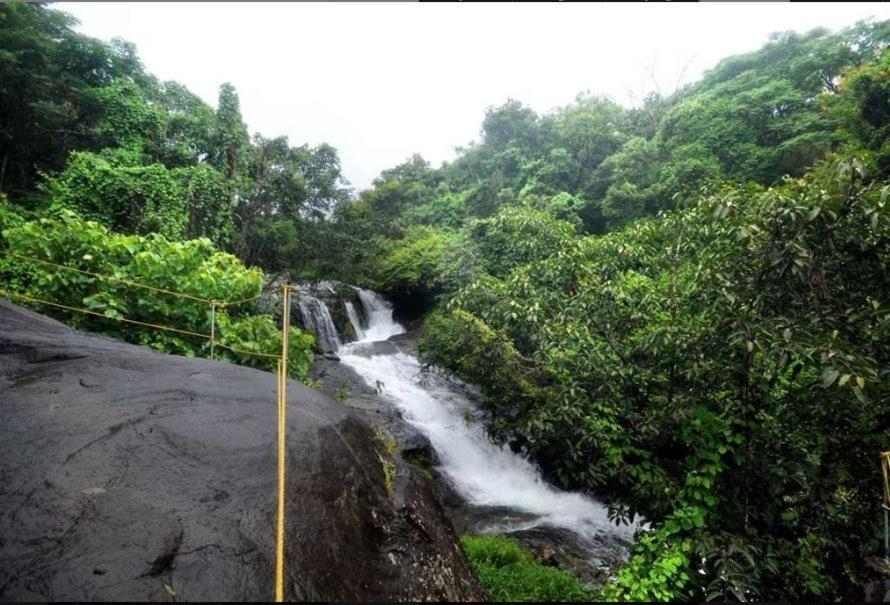 Mahout Resort Wayanad - An Experiential Jungle Stay With Waterfall Kalpatta Buitenkant foto