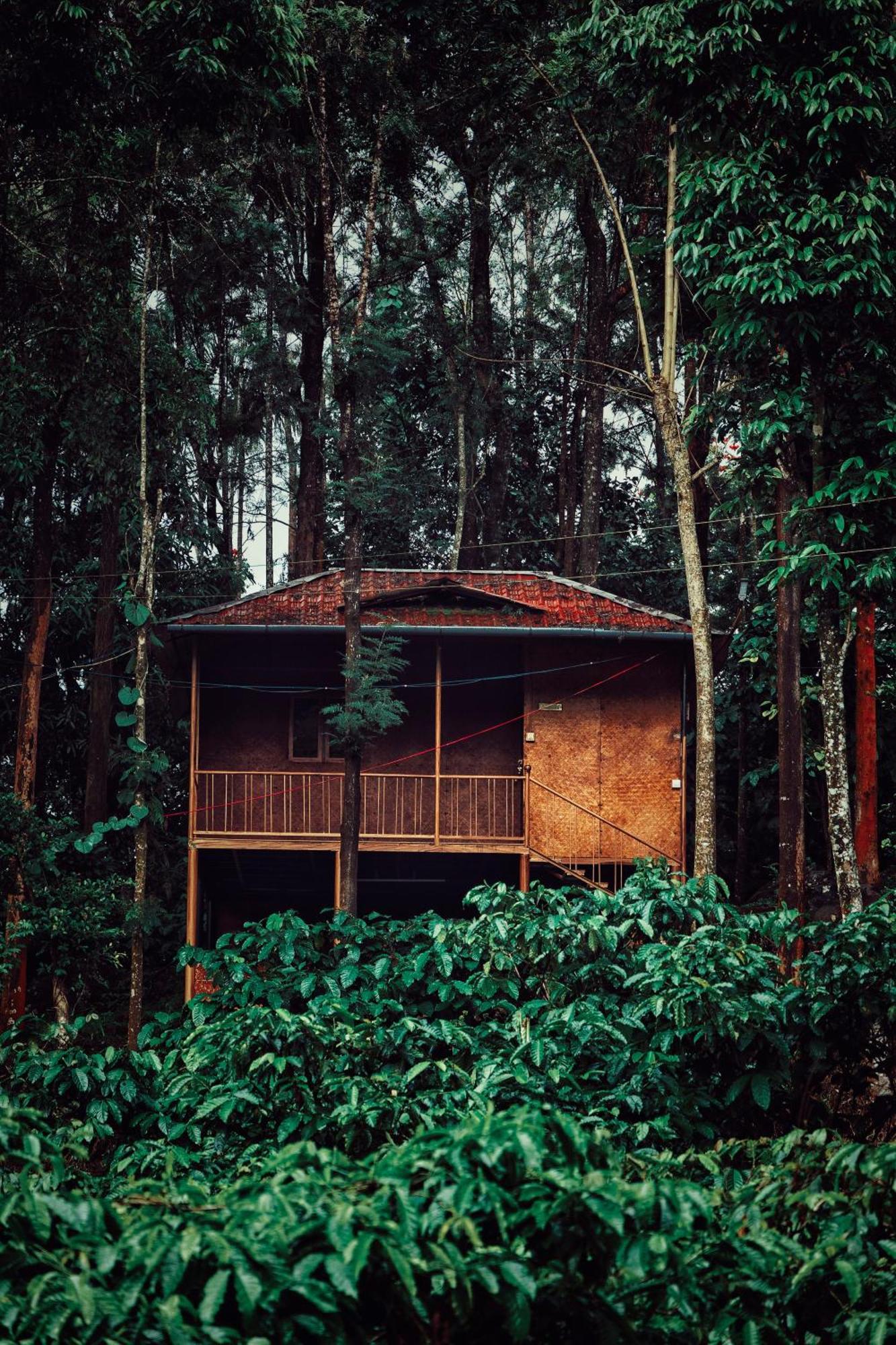Mahout Resort Wayanad - An Experiential Jungle Stay With Waterfall Kalpatta Buitenkant foto