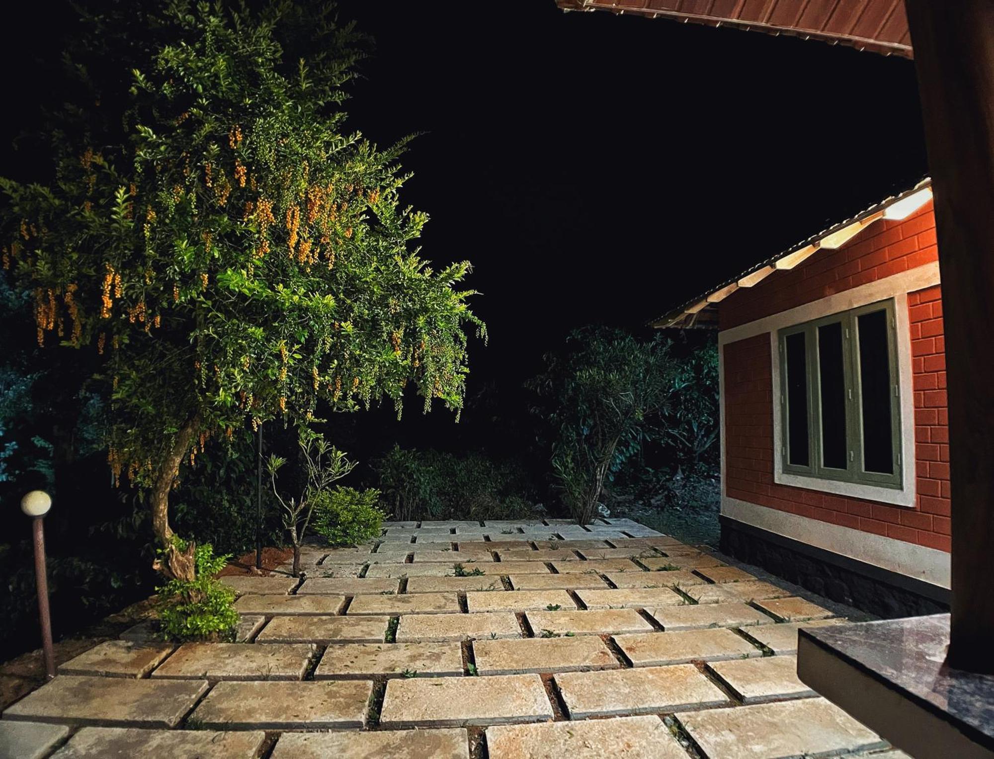 Mahout Resort Wayanad - An Experiential Jungle Stay With Waterfall Kalpatta Buitenkant foto