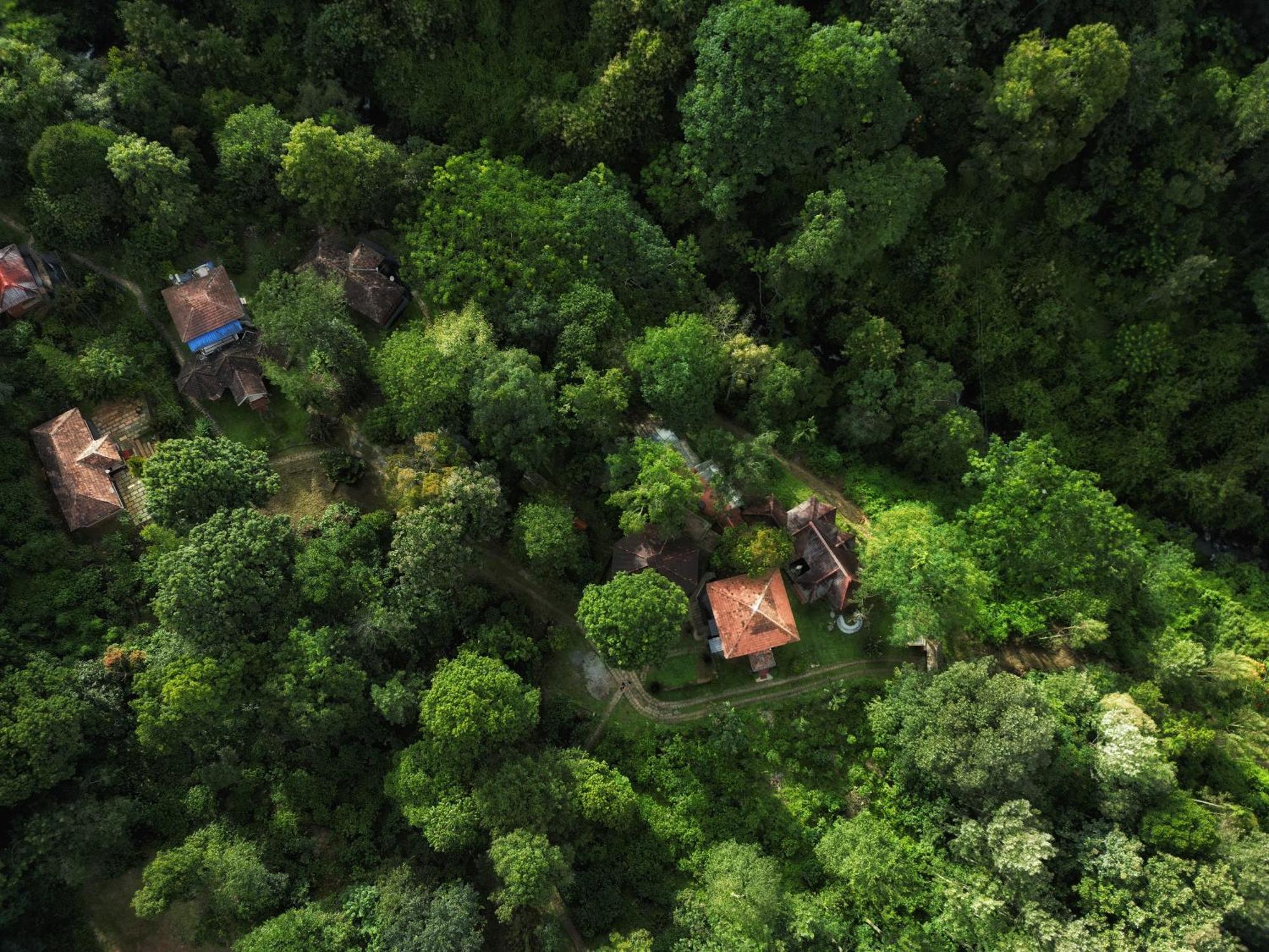 Mahout Resort Wayanad - An Experiential Jungle Stay With Waterfall Kalpatta Buitenkant foto