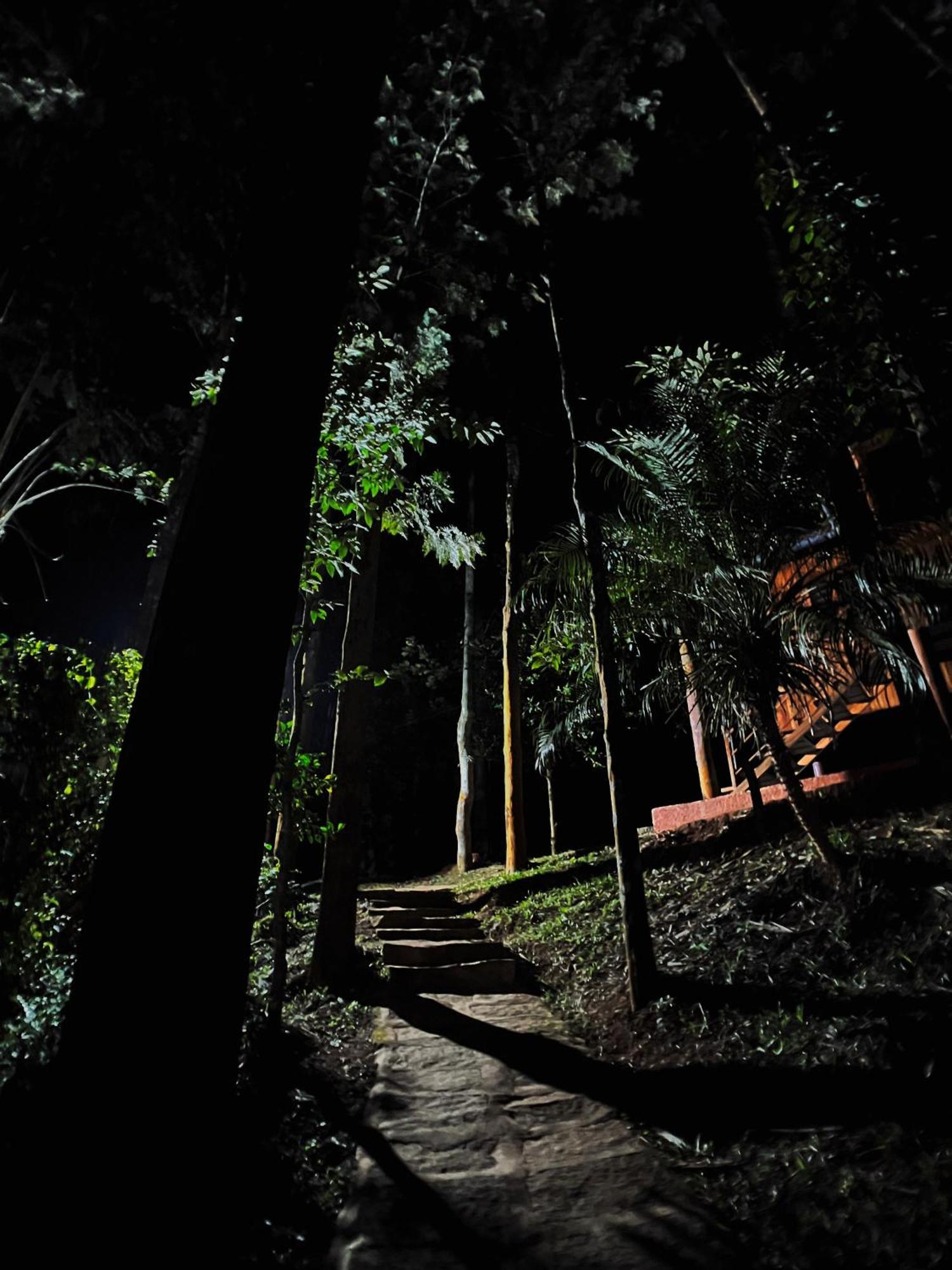 Mahout Resort Wayanad - An Experiential Jungle Stay With Waterfall Kalpatta Buitenkant foto