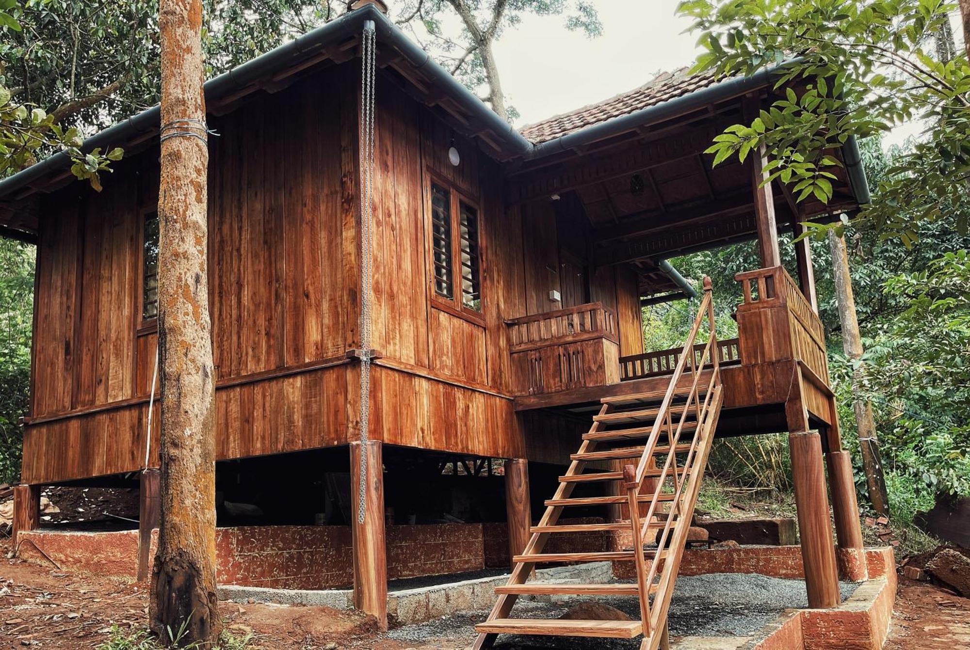Mahout Resort Wayanad - An Experiential Jungle Stay With Waterfall Kalpatta Buitenkant foto