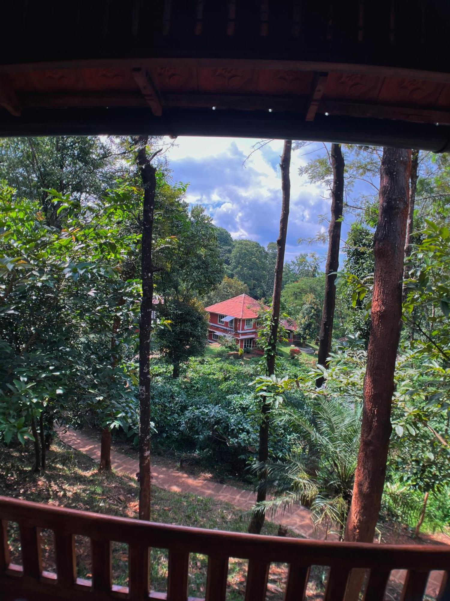 Mahout Resort Wayanad - An Experiential Jungle Stay With Waterfall Kalpatta Buitenkant foto