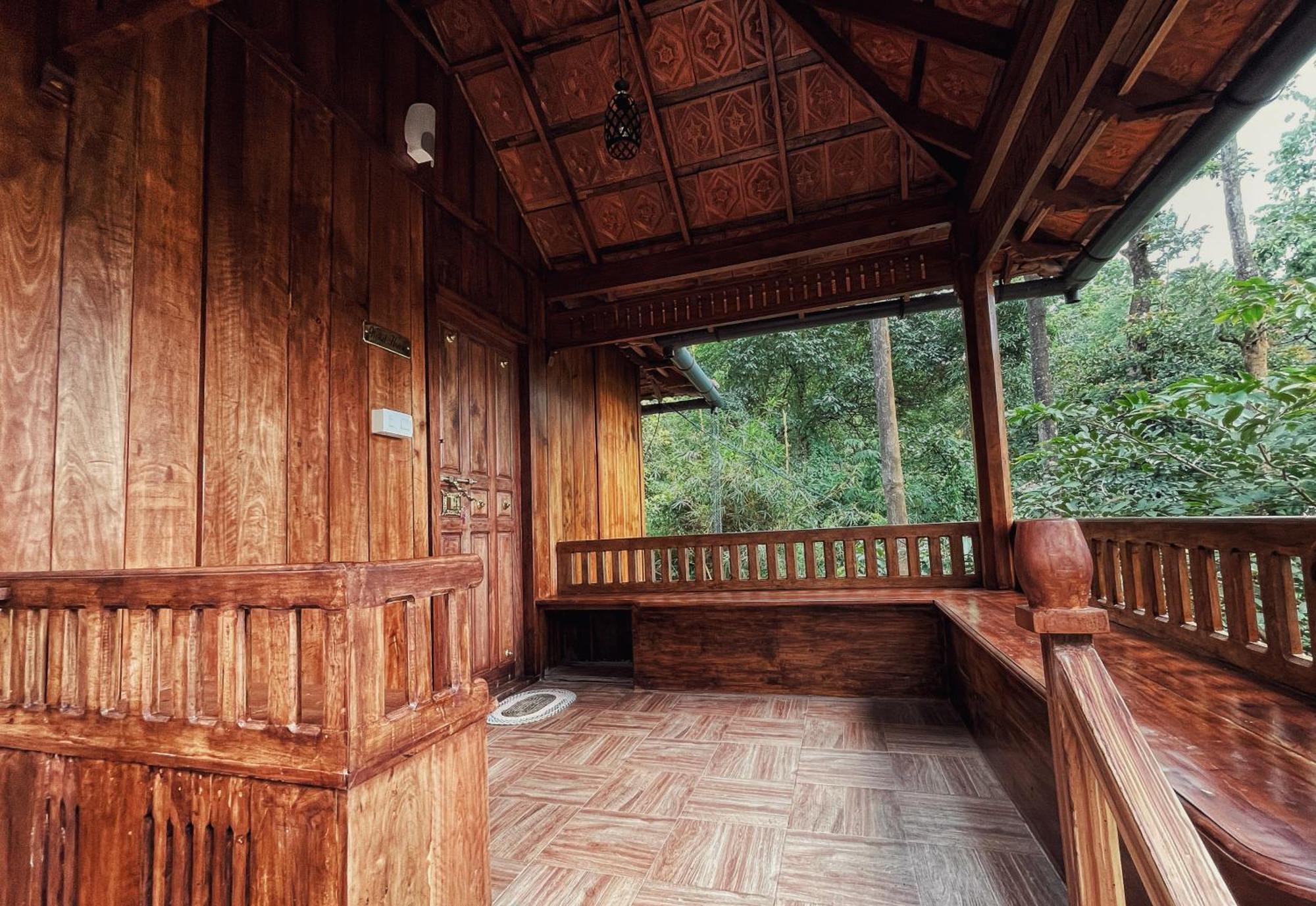 Mahout Resort Wayanad - An Experiential Jungle Stay With Waterfall Kalpatta Buitenkant foto