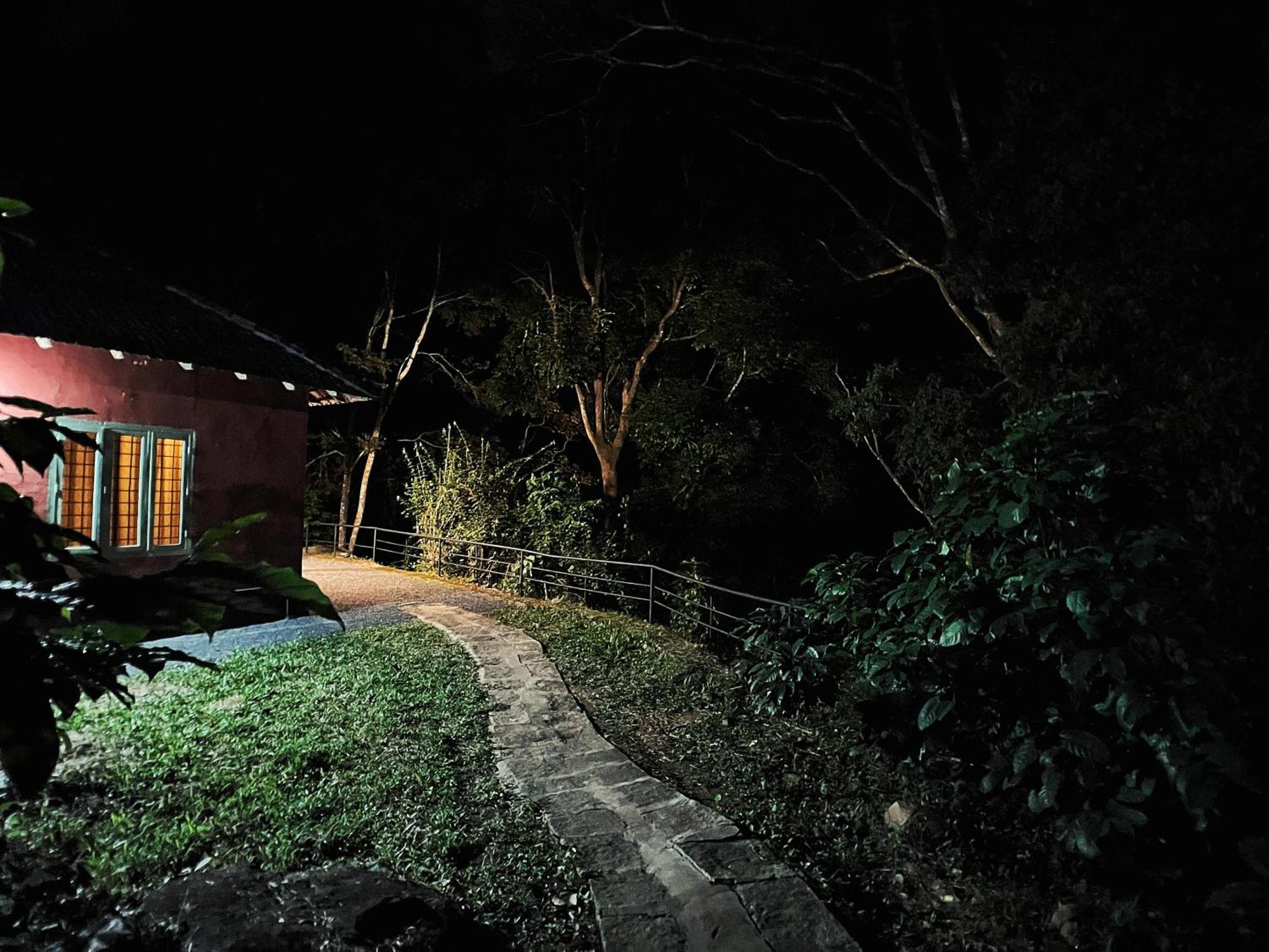 Mahout Resort Wayanad - An Experiential Jungle Stay With Waterfall Kalpatta Buitenkant foto